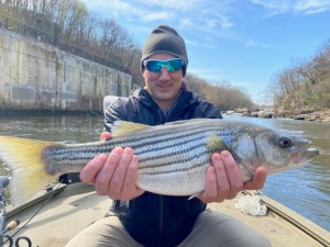 6016e114e04906297ea9c9bea68d96cf946dc019-14_51993452728764